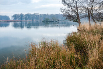Fototapeta na wymiar Pen Ponds, the lakes in Richmond Park, London, England