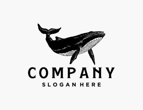 Vintage handdrawn whale logo template
