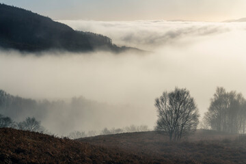 Naklejka premium Misty mountain landscape seen from Ben Lomond in Loch Lomond and the Trossachs National Park, Scottish Highlands, Scotland, United Kingdom, Europe