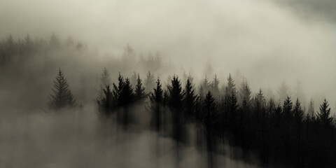 Misty forest landscape in the Scottish mountains at Ben Lomond, Loch Lomond and the Trossachs...