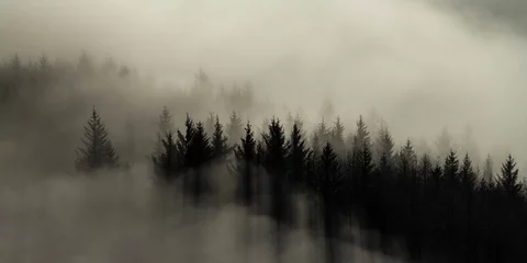 Raamstickers Misty forest landscape in the Scottish mountains at Ben Lomond, Loch Lomond and the Trossachs National Park, Scotland, United Kingdom, Europe © Matthew