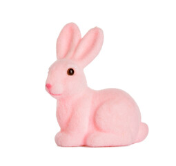 Cute Easter bunny on white background