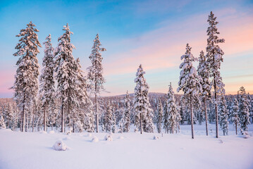 Cold snow covered icy winter landscape at sunset inside the Arctic Circle in Lapland in Finland