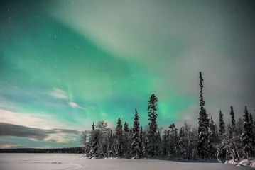 Küchenrückwand glas motiv Northern Lights (aurora borealis) display over snow covered trees in a forest in winter in Finnish Lapland, inside Arctic Circle in Finland © Matthew