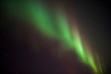 Fototapeta na wymiar Northern Lights (aurora borealis) display dancing in the night sky in winter in Finnish Lapland, inside Arctic Circle in Finland