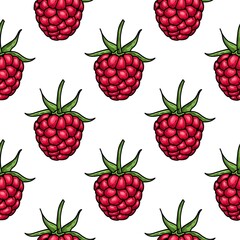 Hand drawn vector raspberry. Raspberry vector illustration. Seamless vector pattern.
