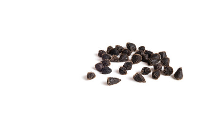Rocket Larkspur seeds, macro. 1-2 mm pine cone shaped dried flower seeds also know as Wild Delphinium or Delphinium ajacis. Wildflowers known to attract hummingbirds, bees and butterflies. Isolated.