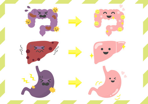 腸内フローラ Images Browse 466 Stock Photos Vectors And Video Adobe Stock 腸内フローラ Images Browse 466 Stock Photos Vectors And Video Adobe Stock