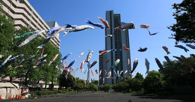 Carp streamer at the park daytime sunny wide shot. Sumida district Tokyo Japan - 05