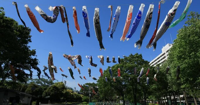 Carp streamer at the park daytime sunny wide shot. Sumida district Tokyo Japan - 05