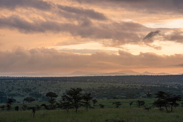 Sunrise at El Karama Ranch, Laikipia County, Kenya