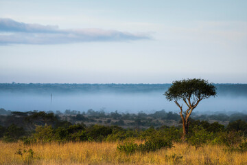 Sosian Ranch, Laikipia County, Kenya