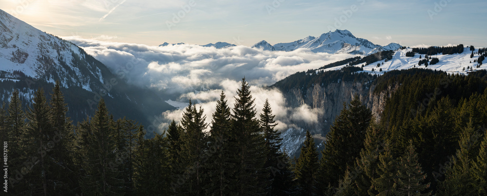 Wall mural dramatic alps mountains landscape with low misty clouds and pine tree forests at the ski resort of m