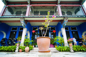 Plants at Cheong Fatt Tze Mansion in George Town, Penang, Malaysia, Southeast Asia