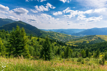 Fototapeta na wymiar mountainous countryside landscape in summer. forested hill and grassy meadows on a warm sunny day. village in the distant valley beneath a sky with fluffy clouds. transcarpathian rural area