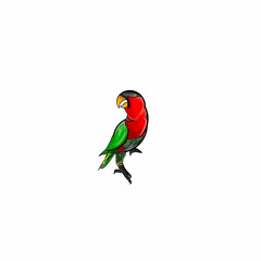 illustrator vector graphic of parrot,perfect for pet bird chirping bird contest,etc