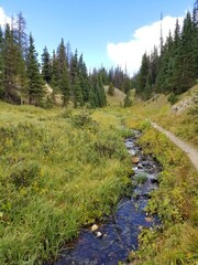 Fototapeta na wymiar Colorado Mountain and Plateau Hiking Trail with Beautiful Grass and Forest