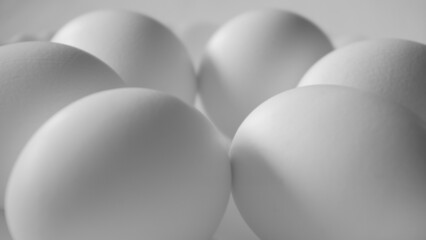 white egg texture background