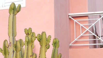 Minimalistic architecture and cactus plants by pink wall of house. California modernism aesthetic....