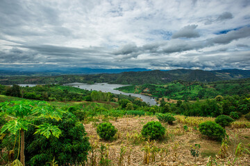The close-up natural background of green rice fields, behind a large mountain and mist flowing...