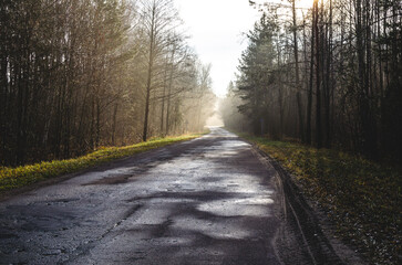 Forest asphalt road goes into the distance. Cold morning in late autumn  