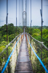 Jungle Canopy Walk in Amazon Rainforest at Sacha Lodge, Coca, Ecuador, South America