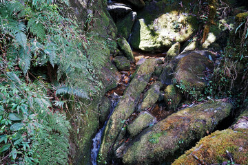 Natural landscape of rocky waterfall among green rainforest park