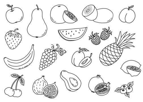 Illustration of fruits and berries on a white background. Hand drawn individual fruit elements. Coloring picture.
