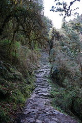 Fototapeta na wymiar Rocky trail steps among natural landscape of green forest park