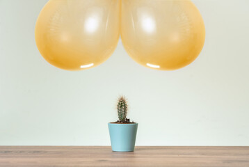 Balloons floatingon air close to cactus. Balloons symbolizes butt, cactus is hemorrhoid.
