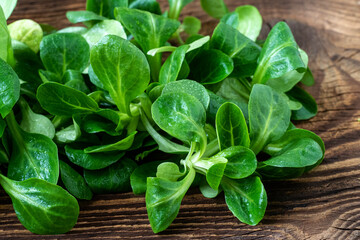 Green lettuce leaves (Valerianella locusta). Fresh lamb lettuce corn salad on rustic wooden table