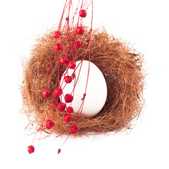 Happy Easter card. A white Easter egg on the background of the nest from above, an image with selective focusing. A branch of red flax on the background of a white egg in the nest.