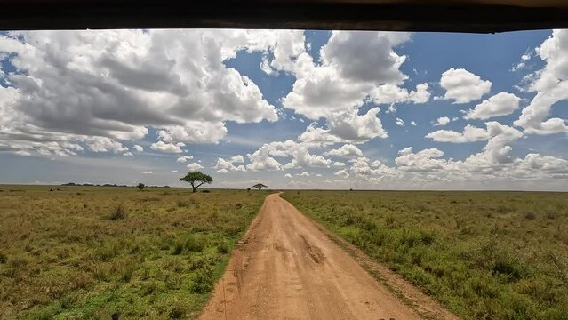 The amazing nature of Africa. View of the green fields of the Tanzania National Park from a safari jeep. Beautiful blue sky and white clouds. Panorama of the vast expanses of Tanzania.