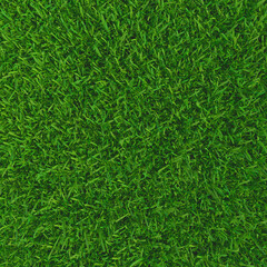Green grass natural background. Texture spring green grass. 3d illustration.