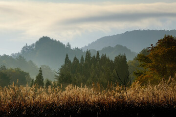 朝靄に霞む秋の森と山々
