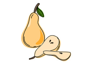 Set of hand drawn pear whole and slice. Whole and cut fruits. Vector illustration in doodle style