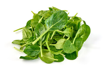 Bunch of spinach leaves isolated on white background.