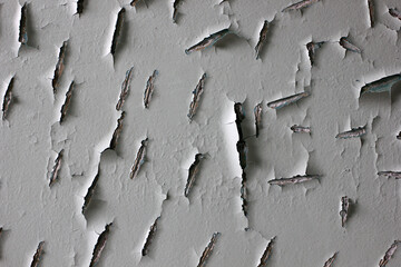 the texture of peeling paint on the wall of an abandoned building