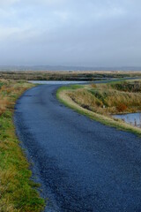 Fototapeta premium A road in the salt marshes. The 6th December 2021, Guérande, France.