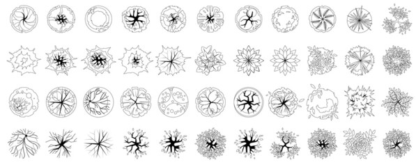 Trees and plants top view for architectural or landscape design. Linear Icon set of trees and grass. Black and white graphic. Vector illustration for green spaces.. Element for design project