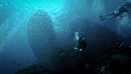 Fototapeta na wymiar Scuba diver and fish action