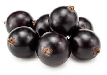 black currant isolated on white background. macro. clipping path