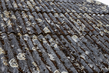 The old slate roof is covered with green moss and dry foliage. The concept of replacing the roof. Roof repair