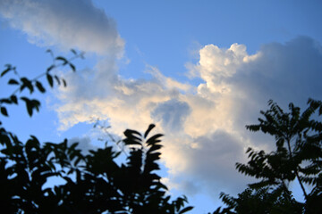 Obraz premium clouds and sky sunset time