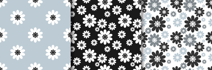 Set of cute seamless pattern of white daisies flowers. Vector illustration.