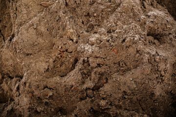 Soil texture. A layer of the earth deep into the close-up. Construction sand. Copy space. Rocky ground background. Soil fertility type. The concept of archaeological excavations. Rough surface.