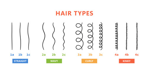 Classification of hair types - straight, wavy, curly, kinky. Scheme of different types of hair. Curly girl method. Vector illustration on white background.