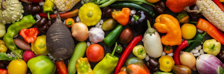 Background with fresh autumn vegetables, organic healthy farm products banner, top view