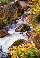 Obraz premium Stream running through the town of Triberg, Germany in the Black Forest on a fall day.