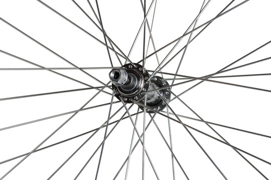 Bicycle wheel hub.